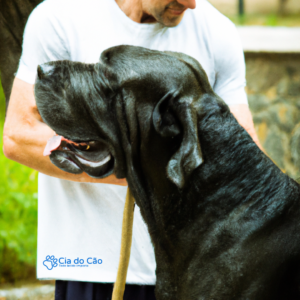 Cuidados com Cães de Raças Gigantes